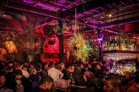 Das Nachtleben in New York: Das ultimative NYC-Nachtleben-ErlebnisNYC: West Village Pub Crawl