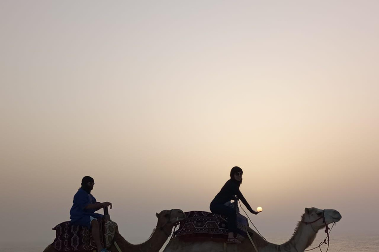 Dakhla: Camel Ride Dakhla camel ride Sunset 1h30