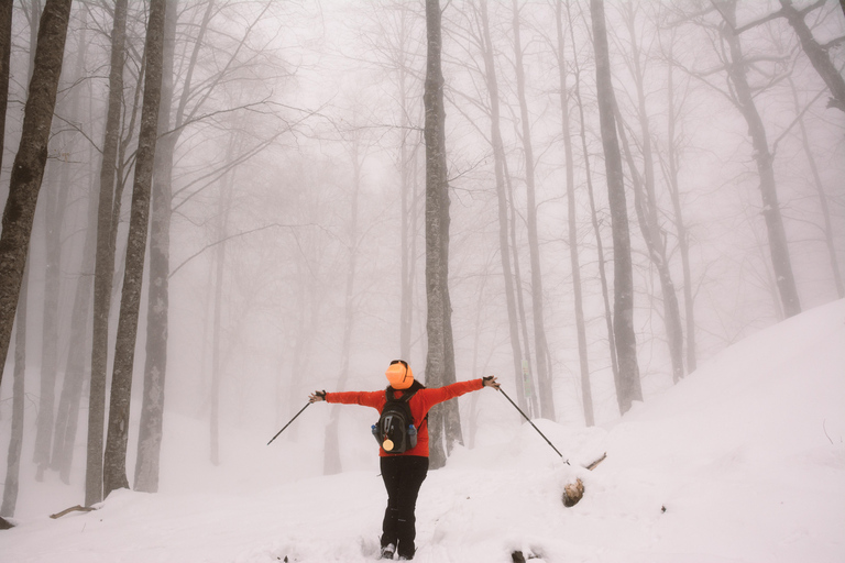 İsmayilli: Lake Qaranohur 2-Day Camping Trip with Games