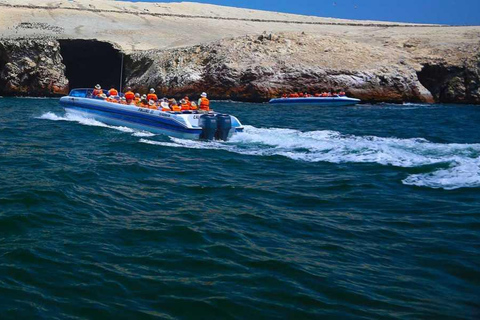 Da Lima: Tour di Paracas, Isole Ballestas e Huacachina