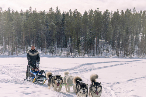 Meltosjärvi: Self Driving Husky Tour - Lake Trail Experience