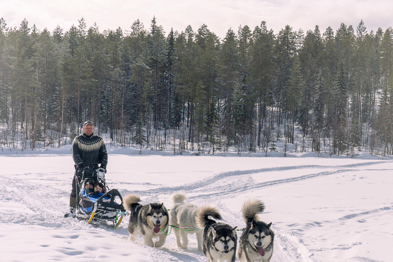 Meltosjärvi: Self Driving Husky Tour - Lake Trail Experience