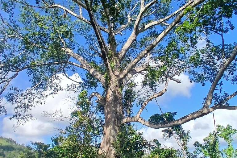 Lethe Mountain Valley Hiking