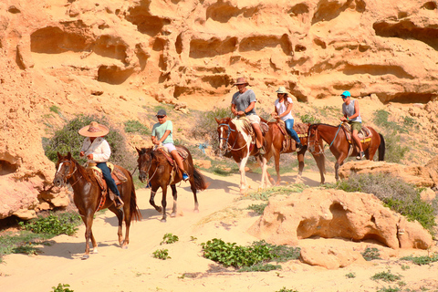 Cabo San Lucas: Reiten in Migriño mit Transfers