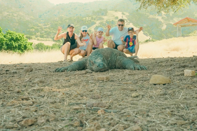From Senggigi: 4-Day Whale Shark & Komodo Adventure