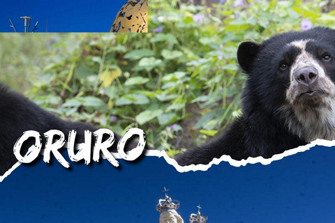 Tour the south of Bolivia: 5 cities, 12 days packed with history and culture Tour the south of Bolivia: 5 cities, 12 days full of history and culture