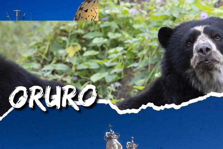 Tour the south of Bolivia: 5 cities, 12 days packed with history and culture Tour the south of Bolivia: 5 cities, 12 days full of history and culture