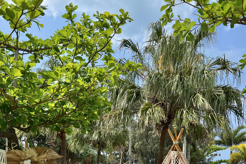 Airlie Beach: Luxury Bohemian Picnic Experience