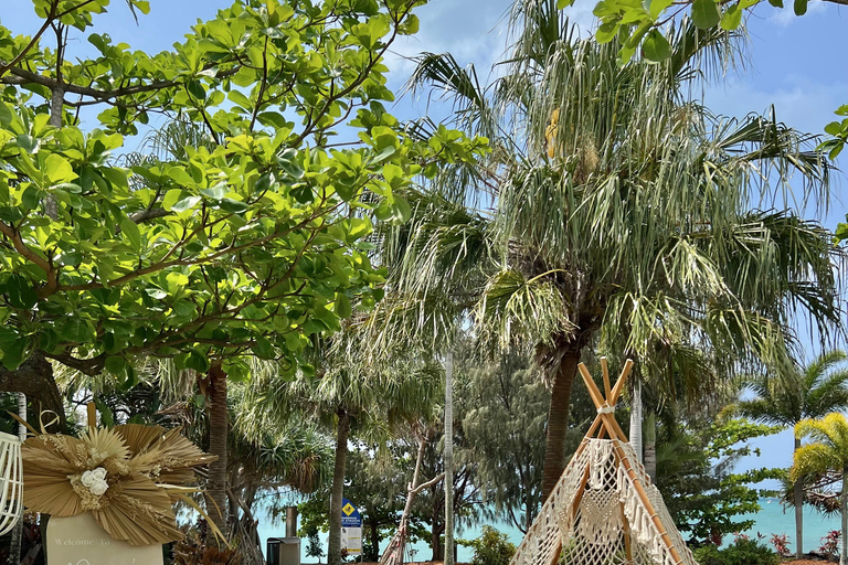 Airlie Beach: Luxury Bohemian Picnic Experience
