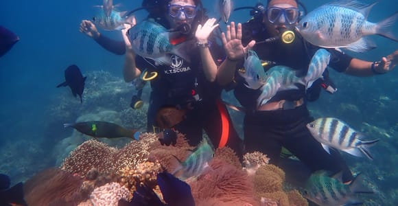Nha Trang : Scuba diving experience for certified dive