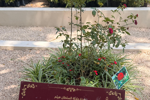 Salalah City Tour: Mosque, Al Gharif Project and Royal Farm