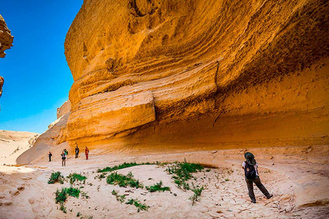 Da Ica || Escursione di un&#039;intera giornata al Canyon di Los Perdidos ||