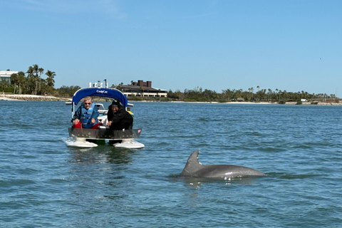 Sarasota: Island Adventures & Catamaran Speedboat Tour