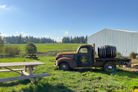 Tour de vinhos em Willamette Valley: Uma viagem para os sentidos