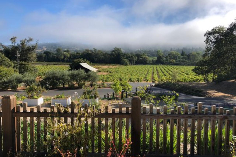 San Francisco: 5-Day California Coast, Vineyards & Wine Tour Double Occupancy Room