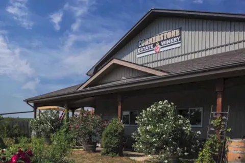 Niagara Falls: Public Niagara Wine Tour with Transportation