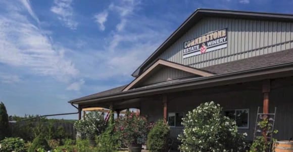 Niagarafälle: Öffentliche Niagara-Weintour mit Transport