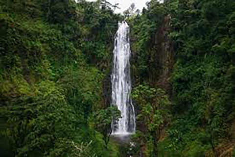 Moshi: Materuni Wasserfall und Kaffee Tour mit Mittagessen