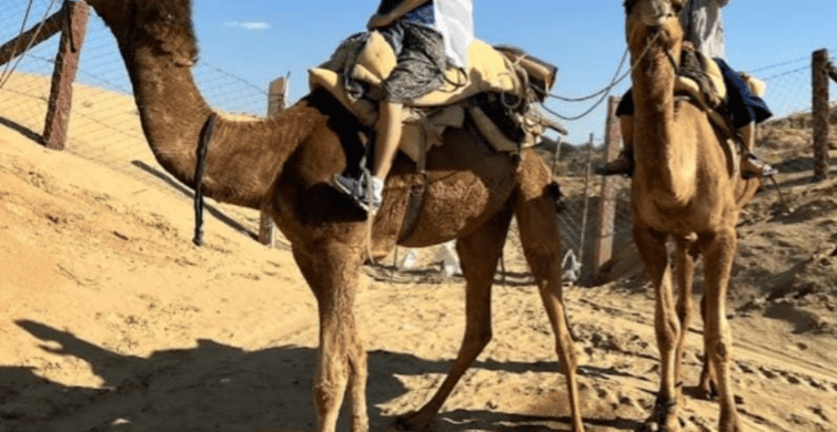 Jodhpur Desert Desert Camel Safari& JeepSafari cu mâncare cu Sumer