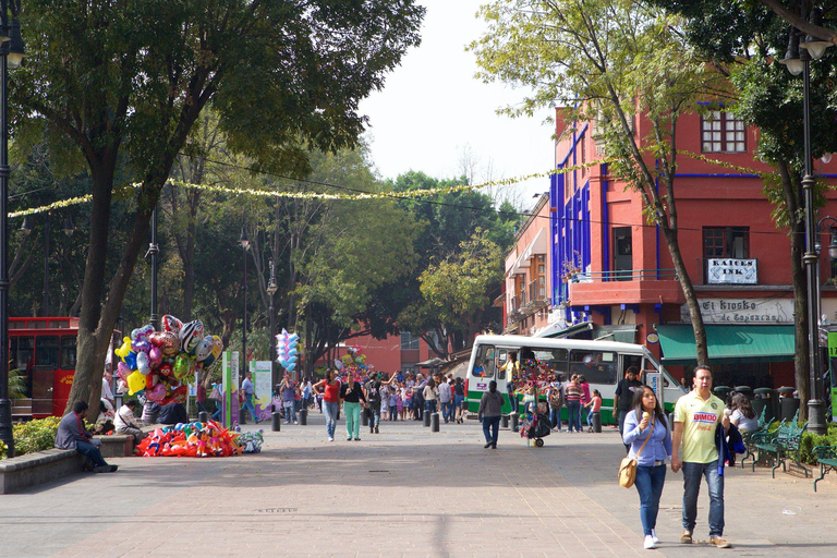 Tour particular por Xochimilco e Coyoacan + transporteTour solo (tour particular para 1 pessoa)