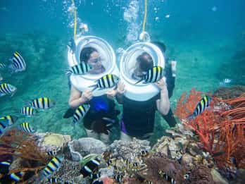 Phu Quoc 4 Island Tour With Snorkeling Cable Car Water Park