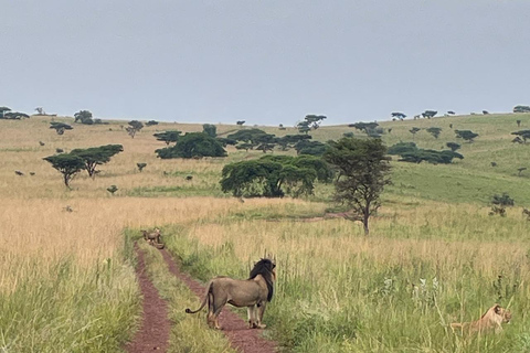 Desde Kigali: Safari y paseo en barco de 1 día por Akagera. Todo incluido