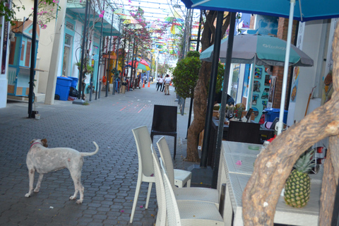 Puerto Plata: passeio cultural com degustação de rum e charutosPuerto Plata: tour cultural com degustação de rum e charutos