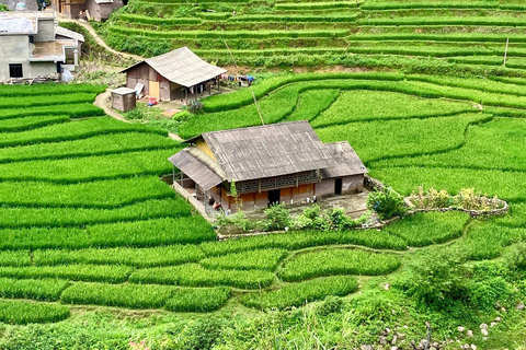 Z Hanoi: 3-dniowy trekking Sapa (nocleg w hotelu i u rodziny goszczącej)