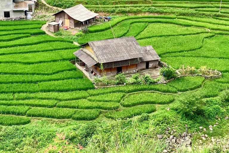 Z Hanoi: 3-dniowy trekking Sapa (nocleg w hotelu i u rodziny goszczącej)