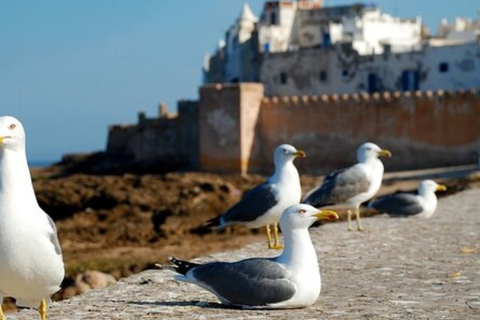 From Marrakech: Essaouira Day Trip with Free Time to Explore From Marrakech: Private Day Trip to Essaouira