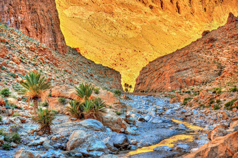 From Tangier: 8-Day Morocco Tour from North to South