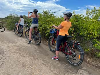 Puglia: rondleiding met e-bike vanaf de kust of het platteland