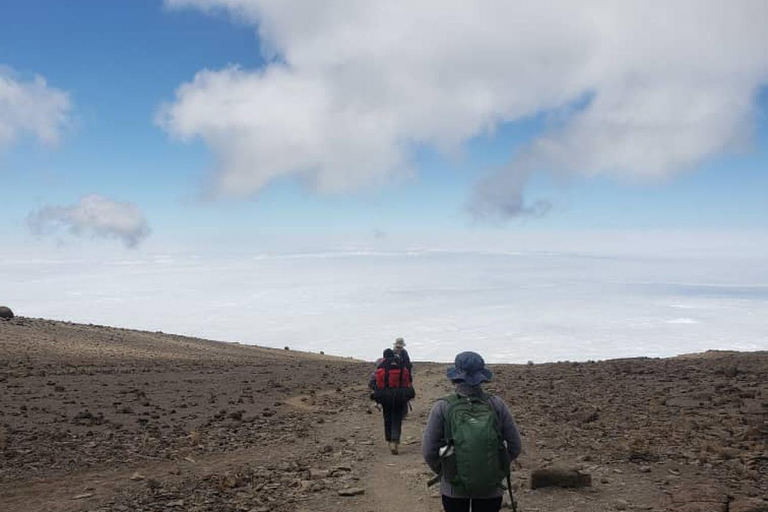 Trekking na Kilimandżaro 7 dni szlakiem Lemosho