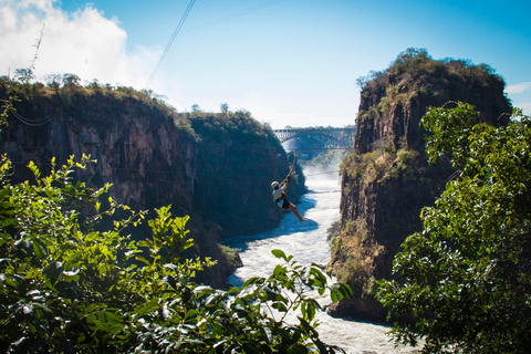 Victoria Falls: Canopy Tour