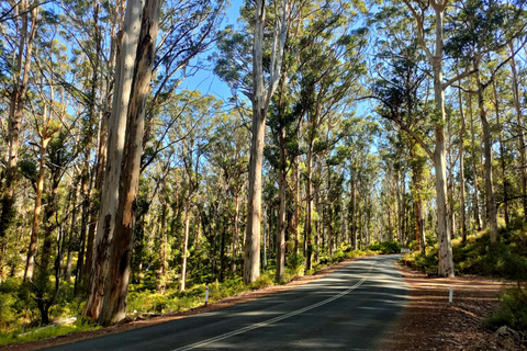 From Perth: Margaret River Premium Wine & Nature Escape