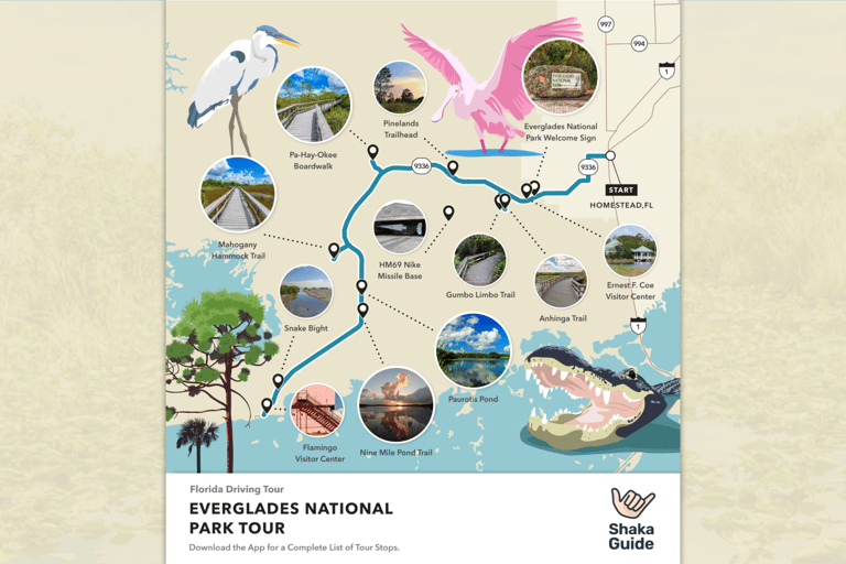 Flórida: Big Cypress, Everglades e Overseas Highway ...