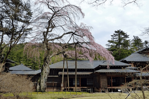 Da Tokyo: Escursione privata di un giorno a Nikko, patrimonio mondiale dell&#039;umanità