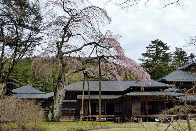 Tokyo: Tour privato di un giorno di Nikko, Patrimonio dell&#039;Umanità dell&#039;Unesco, e prelievo di campioni