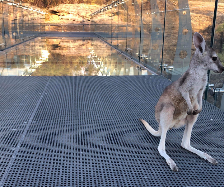 Cobbold Gorge 3 hour tour