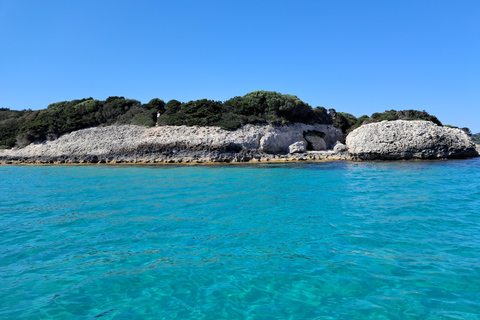 Porto-Vecchio : visite de l&#039;archipel des Lavezzi et de l&#039;île de CerbicalePorto-Vecchio : visite de l&#039;archipel des Lavezzi et de l&#039;île de Cerbicales