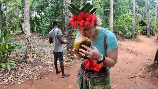 Zanzibar: Stone Town, Prison Island & Spice Farm + Transfer