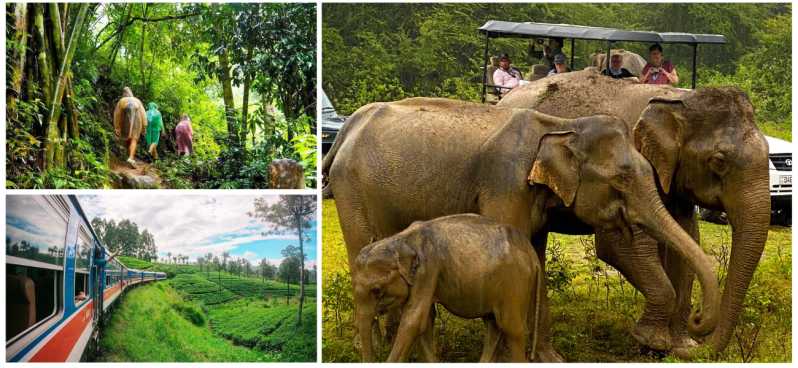 Sri Lanka green bless- ultimate 2 days trip to enjoy nature