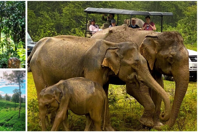 La bendición verde de Sri Lanka - viaje definitivo de 2 días para disfrutar de la naturalezaSri Lanak green bless- última excursión de 2 días para disfrutar de la naturaleza