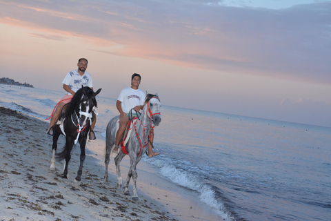 Vivez l&#039;aventure pendant 2,5 heures avec des chevaux et des chameaux.