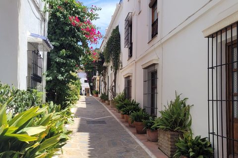 Mijas, Marbella, and Puerto Banús from the Costa del Sol Mijas, Marbella, and Puerto Banús from Torrequebrada