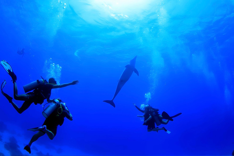 Sharm El Sheikh: Ras Mohamed & White Island Snorkeling trip
