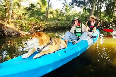 Bangkok: Versteckte Kajaktour & elektrische Longtail Bootstour