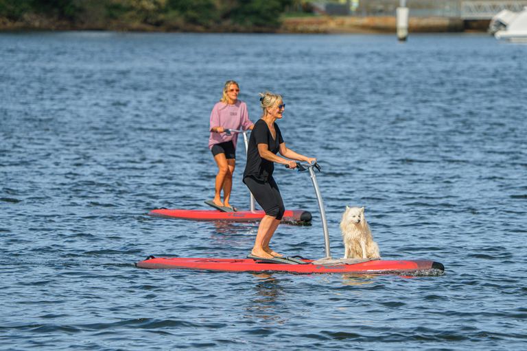 Från Sydney: Heldagstur till Golden Beaches och Ocean Vista