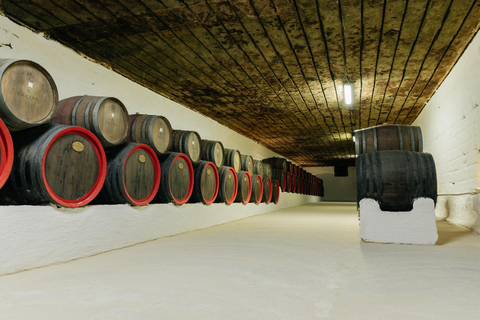 Chișinău: Moldova Heritage & Wine Tour