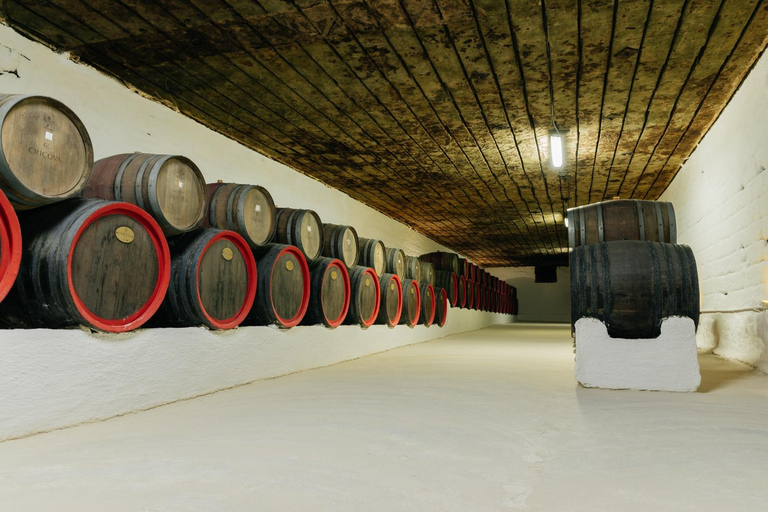 Chișinău: Moldova Heritage & Wine Tour